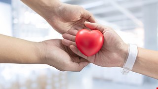 讓愛延續:114年度愛心捐款與使用狀況