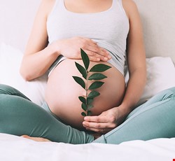 自然生產先修班－ 拉梅茲生產法 （限懷孕28週以上，本院產檢孕婦及先生參與，每對夫妻收費200元）