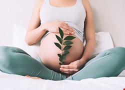 自然生產先修班－ 拉梅茲生產法 （限懷孕28週以上，本院產檢孕婦及先生參與，每對夫妻收費200元）