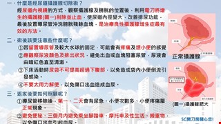 經尿道攝護腺切除術(TURP)