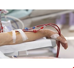 Possible Complications of Hemodialysis 洗腎可能會面臨的併發症
