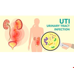 Urethritis 尿道炎