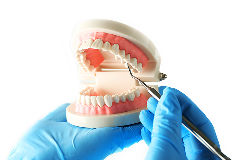 次專科醫師介紹