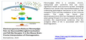 Electroacupuncture Reduces Fibromyalgia Pain via Neuronal/Microglial Inactivation and Toll-like Receptor 4 in the Mouse Brain: Precise Interpretation of Chemogenetics