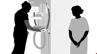 114年11月份篩檢活動場次