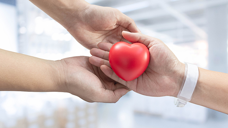 讓愛延續：114年度愛心捐款與使用狀況