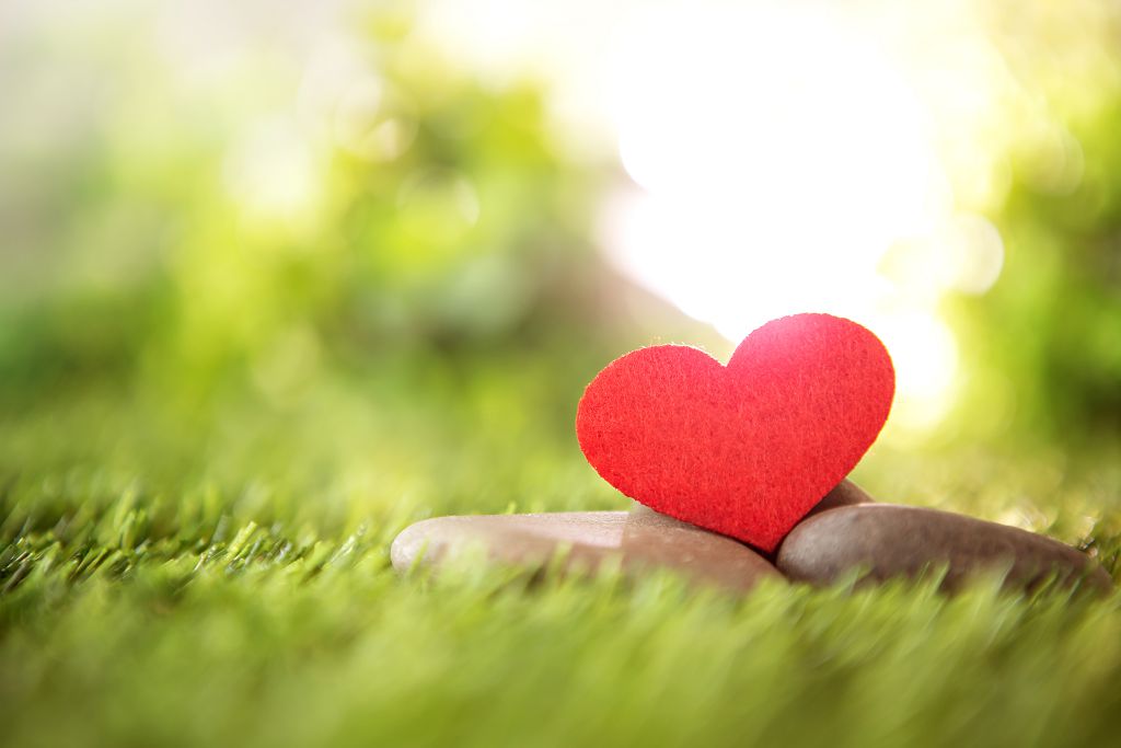 糖尿病用藥全解析，穩定血糖這樣做